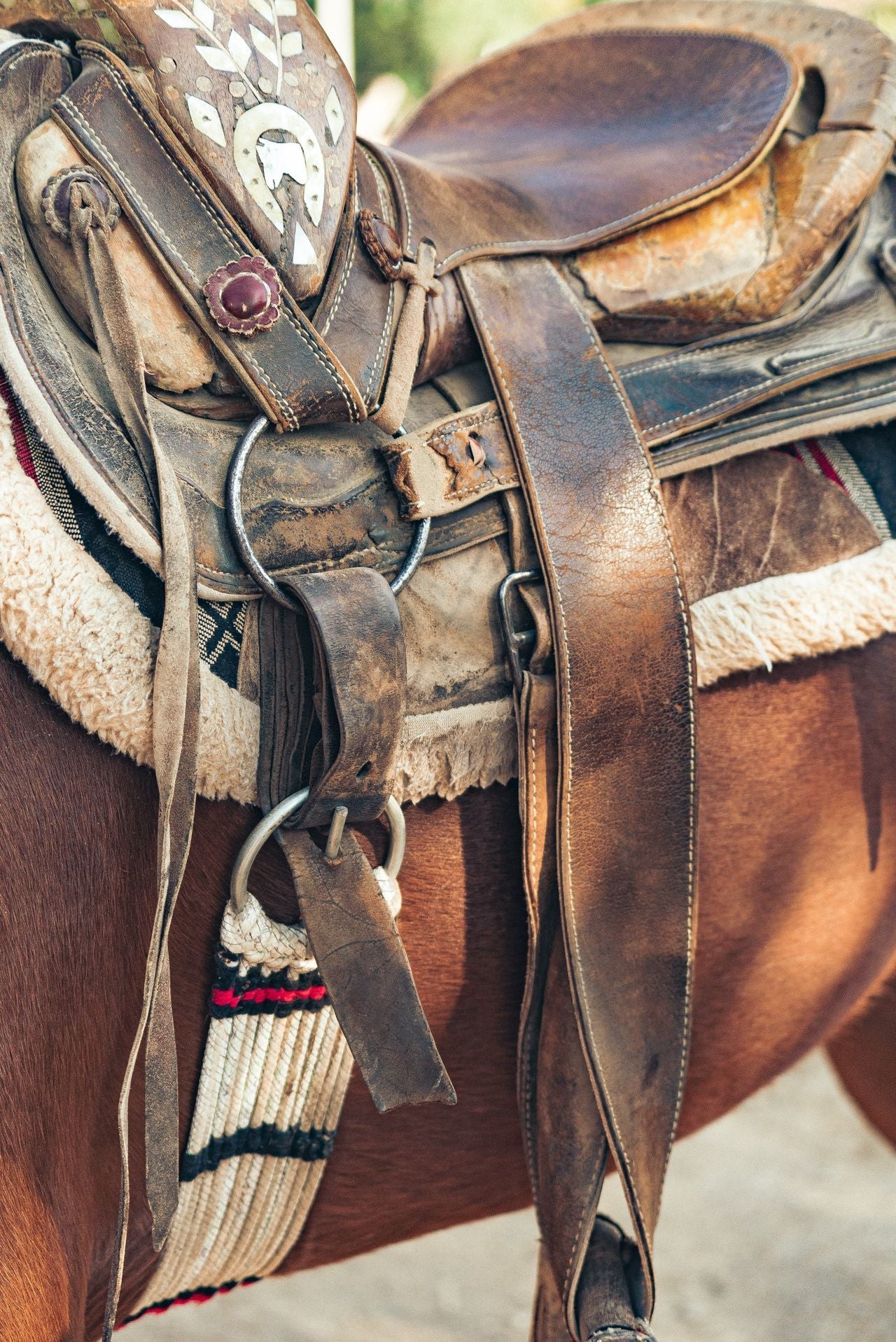 Spur Straps
