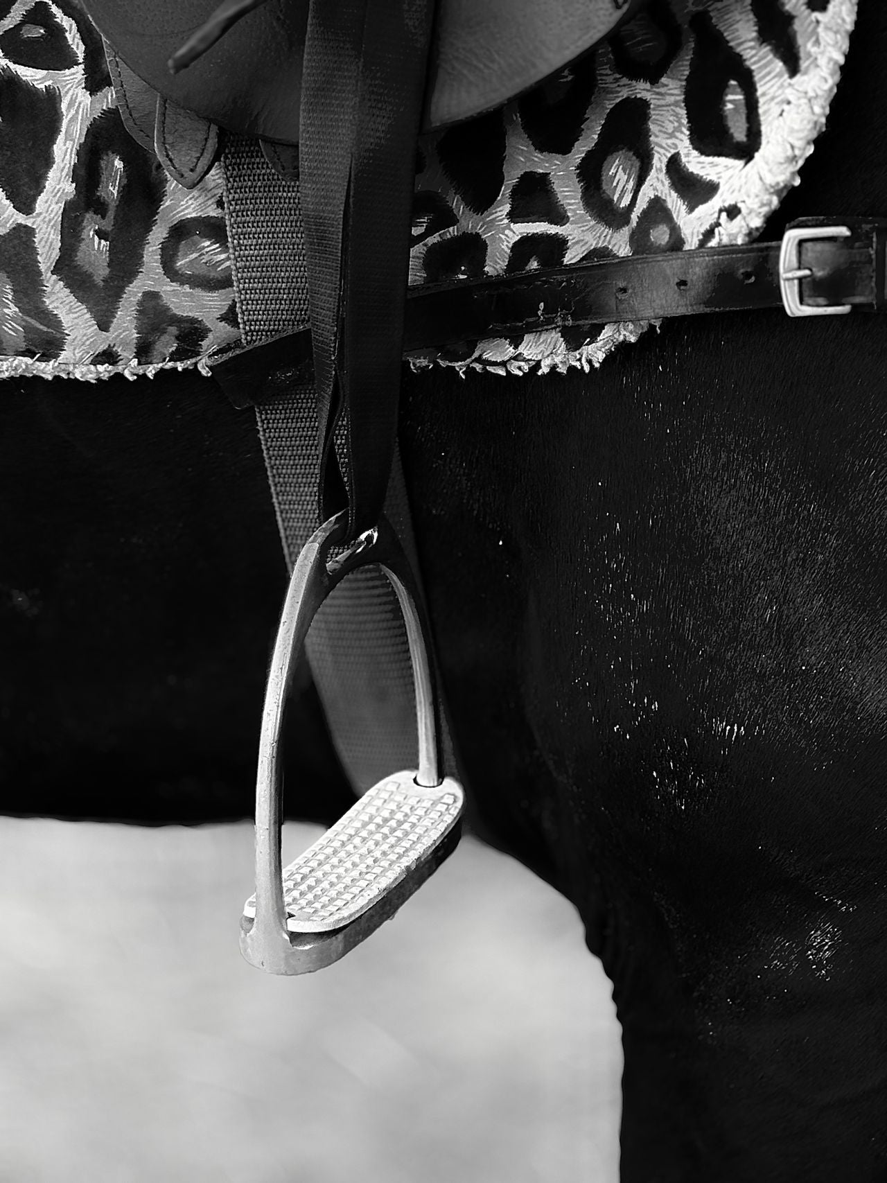 Stirrup Leathers