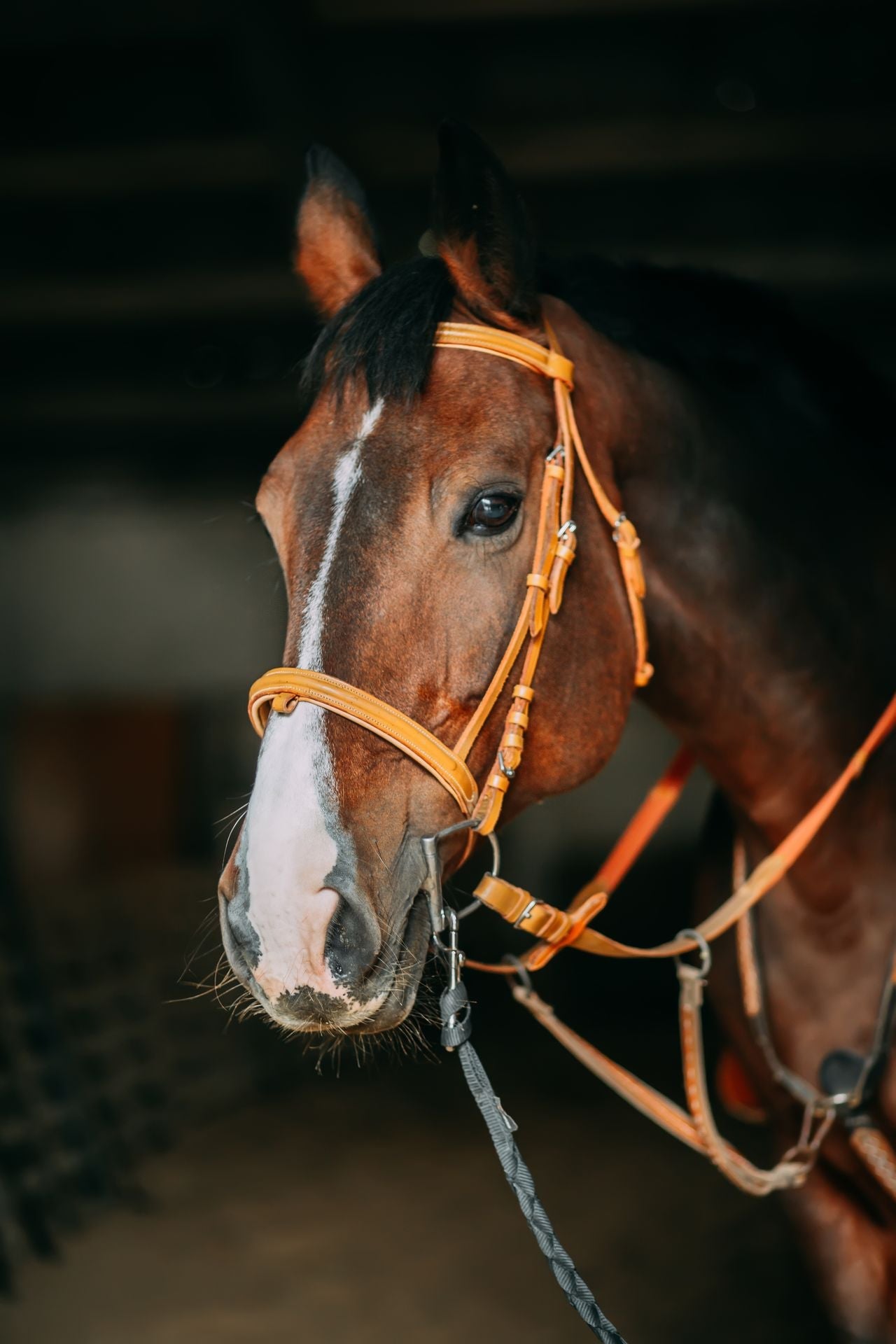 Headstalls