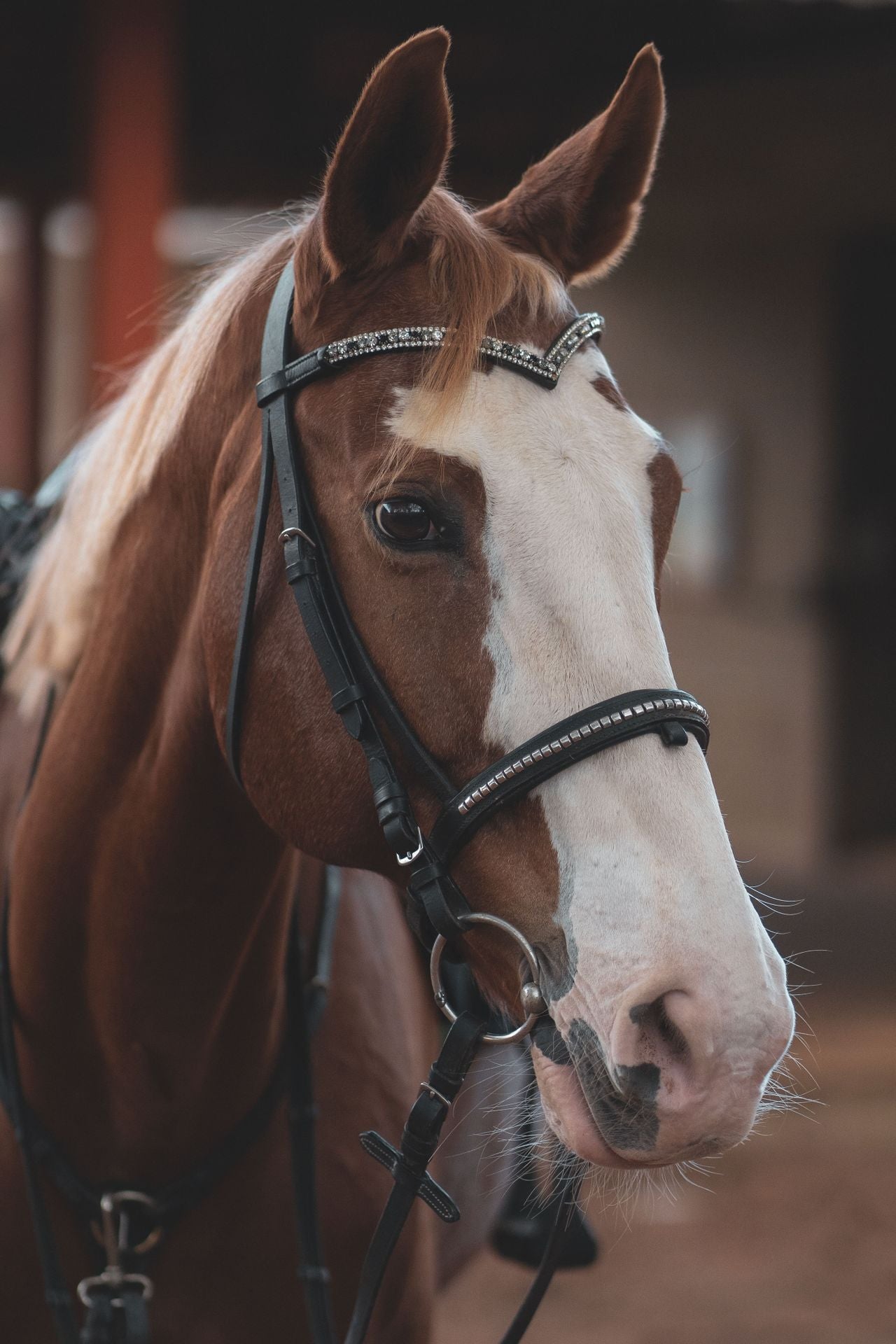 Bridles
