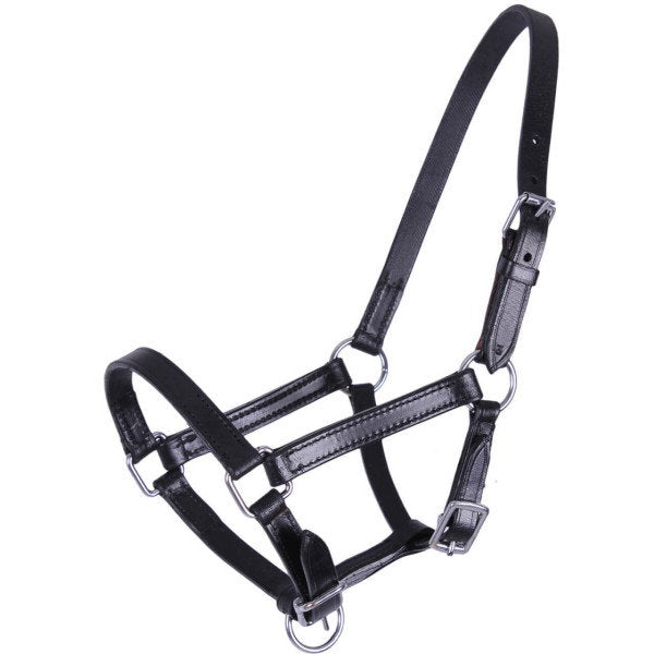 Premium Genuine Leather Horse Halter with Contrast Stitching – Adjustable Padded Headcollar with Solid Brass Hardware
