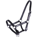Premium Genuine Leather Horse Halter with Contrast Stitching – Adjustable Padded Headcollar with Solid Brass Hardware