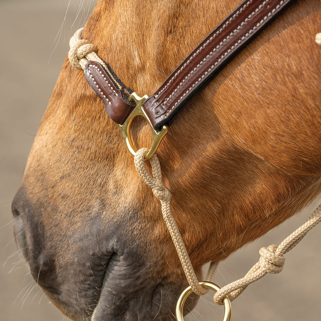 Professional Leather & Rope Horsemanship Halter – Adjustable Training Headcollar with Yacht Rope & Solid Brass Hardware