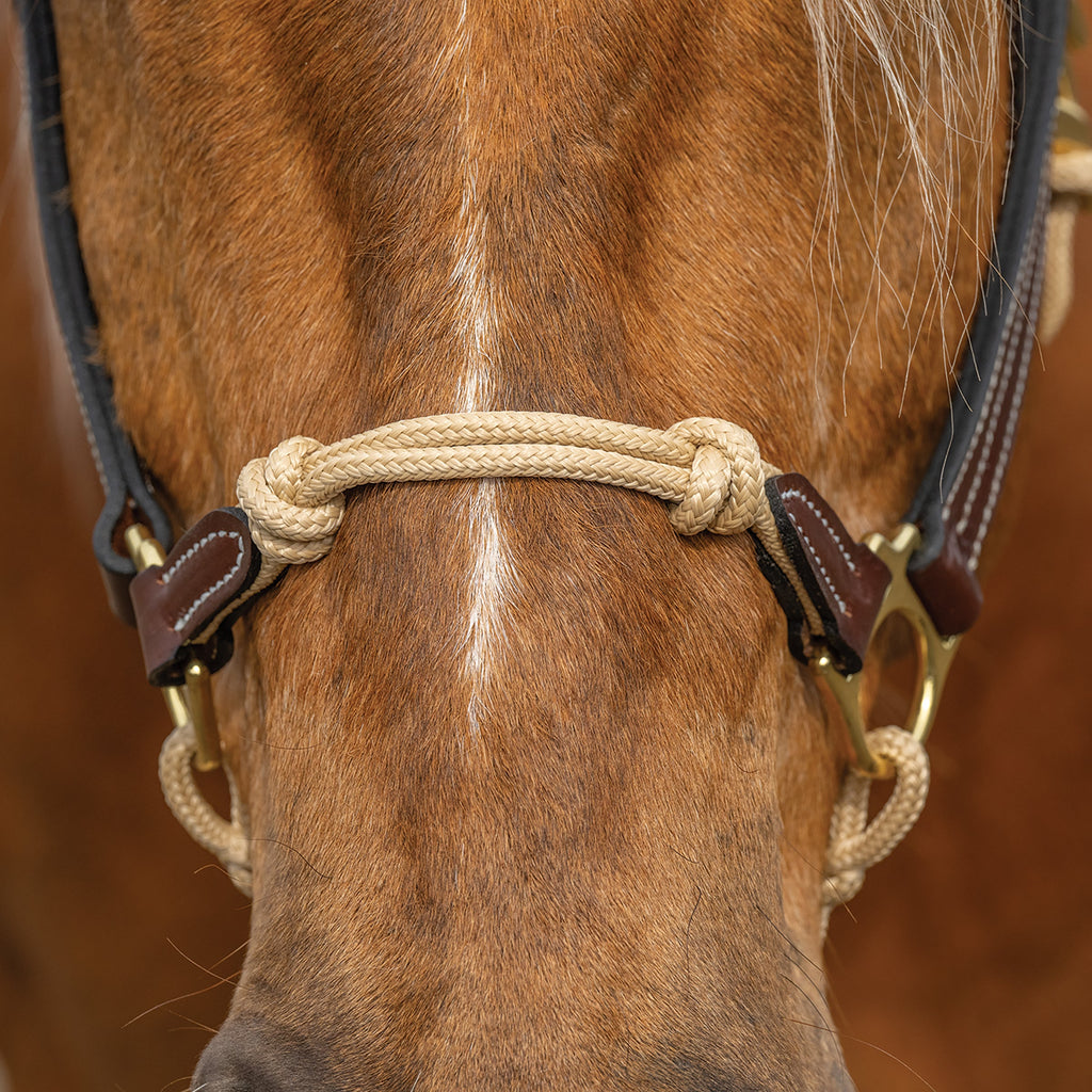 Professional Leather & Rope Horsemanship Halter – Adjustable Training Headcollar with Yacht Rope & Solid Brass Hardware