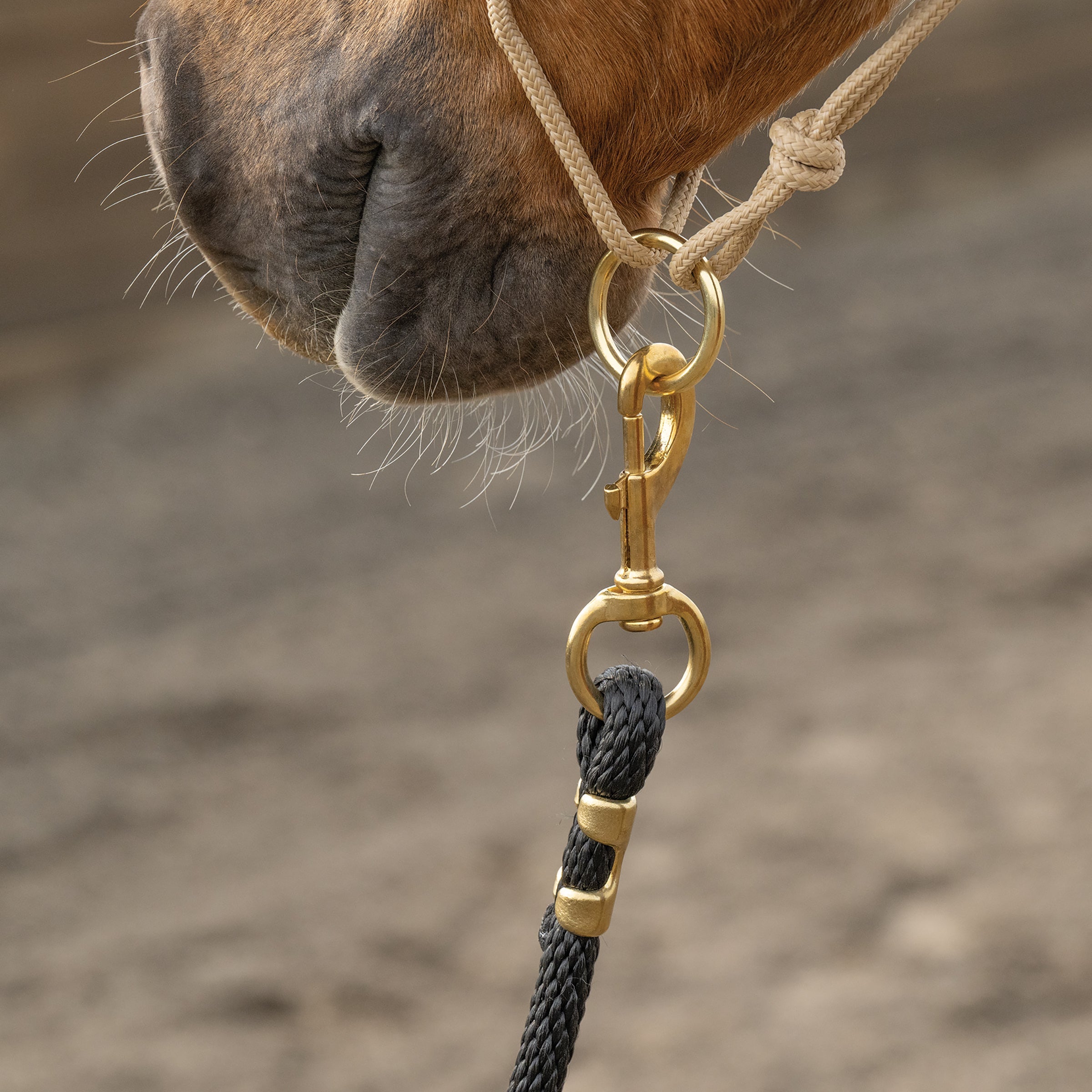 Professional Leather & Rope Horsemanship Halter – Adjustable Training Headcollar with Yacht Rope & Solid Brass Hardware