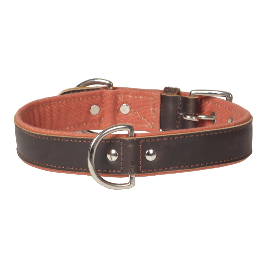 Canvas & Genuine Leather Dog Collar – Heavy-Duty Padded Collar with Stainless Steel Hardware