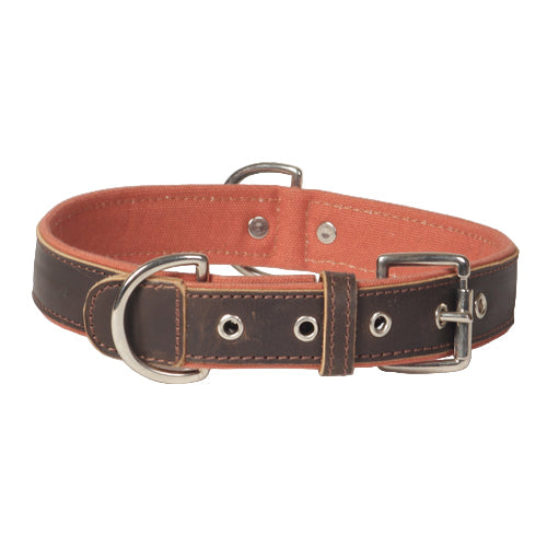 Canvas & Genuine Leather Dog Collar – Heavy-Duty Padded Collar with Stainless Steel Hardware