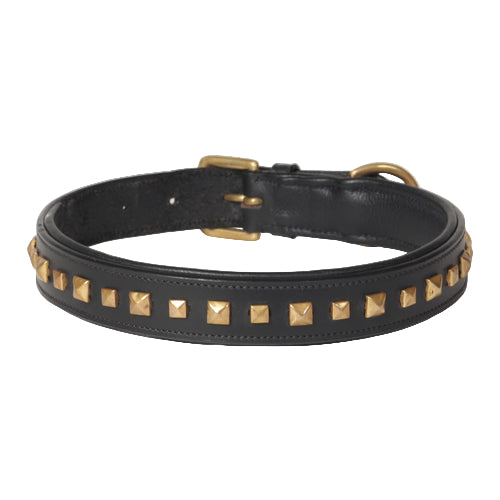 Gold Studded Genuine Leather Dog Collar – Handcrafted Padded Collar with Premium Hardware
