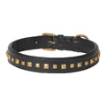 Gold Studded Genuine Leather Dog Collar – Handcrafted Padded Collar with Premium Hardware