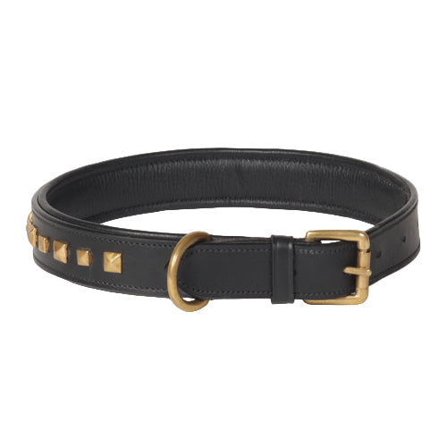 Gold Studded Genuine Leather Dog Collar – Handcrafted Padded Collar with Premium Hardware