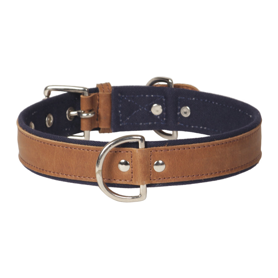 Canvas & Genuine Leather Dog Collar – Heavy-Duty Padded Collar with Stainless Steel Hardware