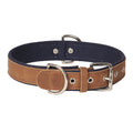 Canvas & Genuine Leather Dog Collar – Heavy-Duty Padded Collar with Stainless Steel Hardware
