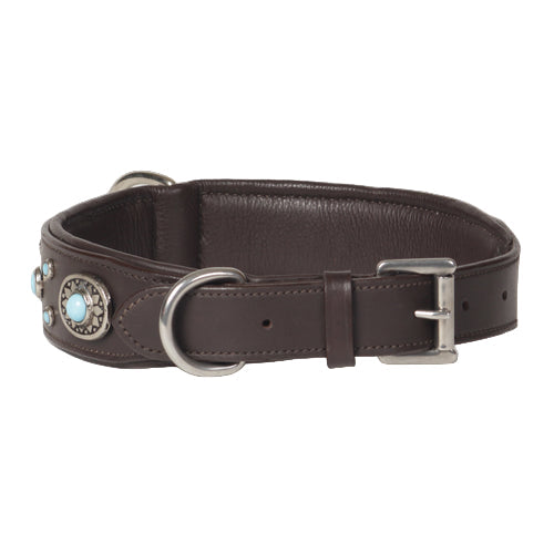 Decorative Genuine Leather Dog Collar with Turquoise Conchos – Padded Handmade Collar for Dogs