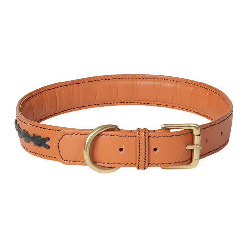 Premium Braided Napa Genuine Leather Dog Collar – Soft Genuine Leather with Brass Hardware