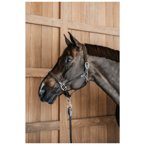 Premium Hand-Braided Leather Horse Halter – Adjustable Padded Headcollar with Solid Brass Hardware