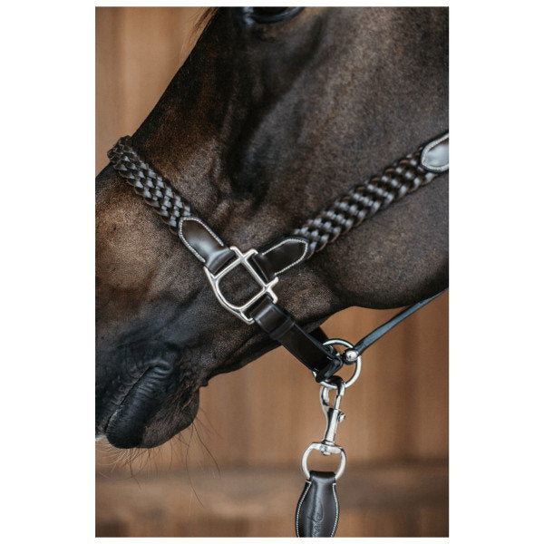 Premium Hand-Braided Leather Horse Halter – Adjustable Padded Headcollar with Solid Brass Hardware