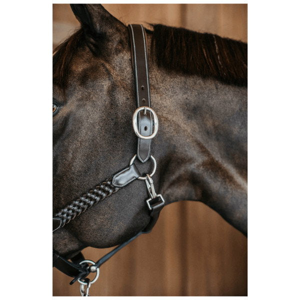 Premium Hand-Braided Leather Horse Halter – Adjustable Padded Headcollar with Solid Brass Hardware