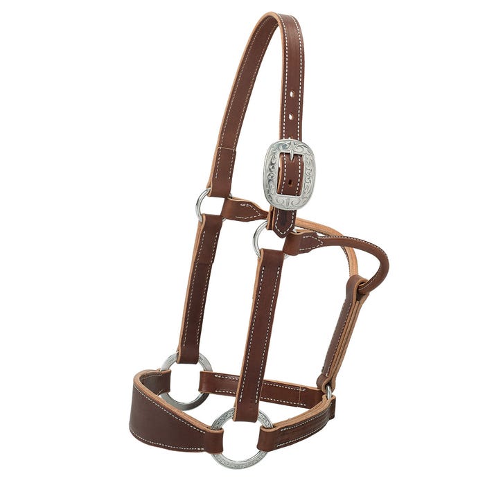 Premium Western Leather Horse Halter – Contoured Adjustable Headcollar with Floral Brass Hardware