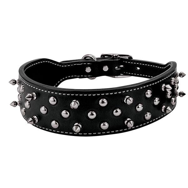 Premium Spiked Genuine Leather Dog Collar – Handcrafted Studded Leather Collar with Chrome Hardware