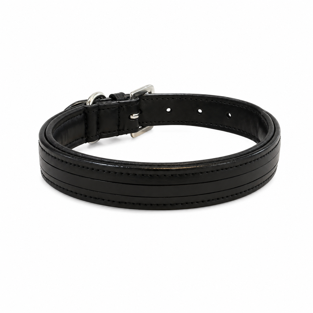 Genuine Leather Empty Channel Dog Collar – Padded Leather Collar with Heavy-Duty Stainless Steel Hardware