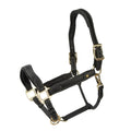 Anatomical Comfort Genuine Leather Horse Halter – Luxury Padded Headcollar with Solid Brass Hardware