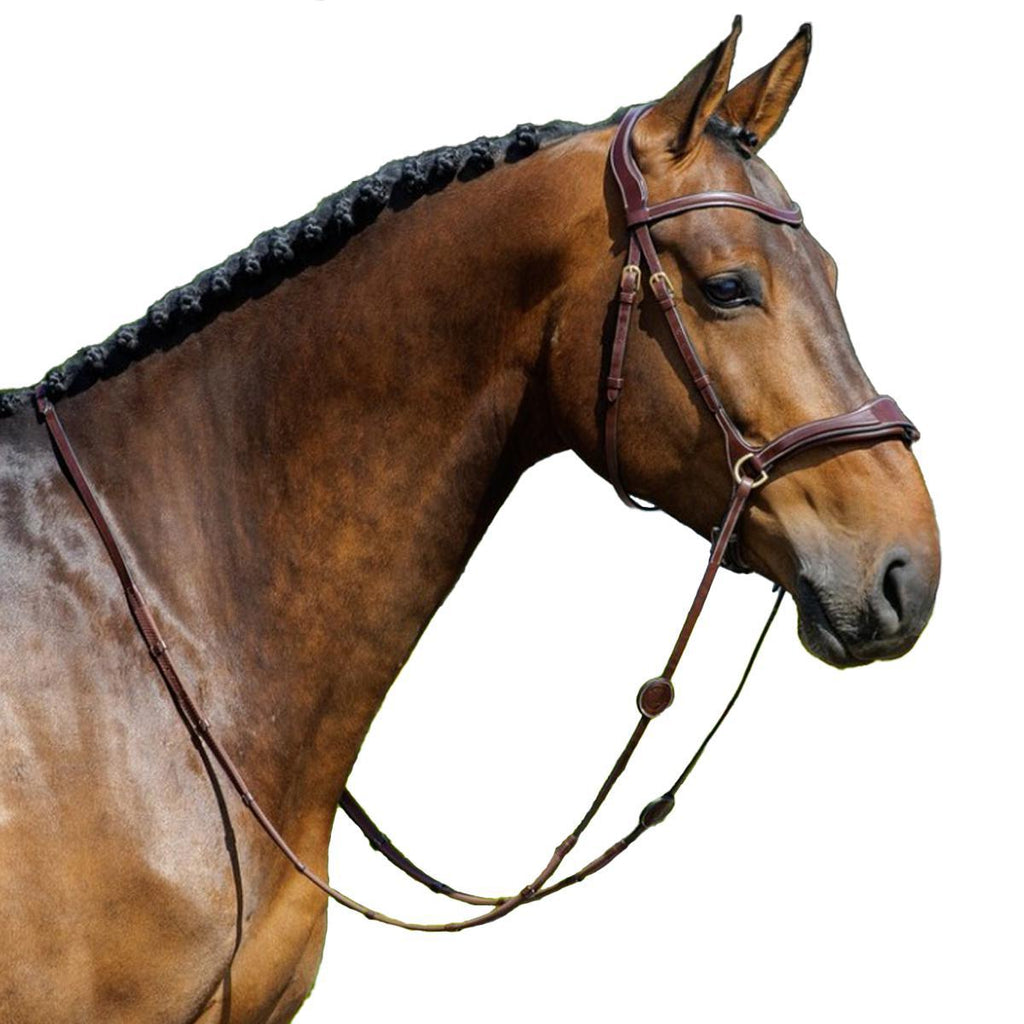 FlexMotion 5-in-1 Anatomical Bridle – Premium Buffalo Leather Convertible English Bridle & Bitless Sidepull