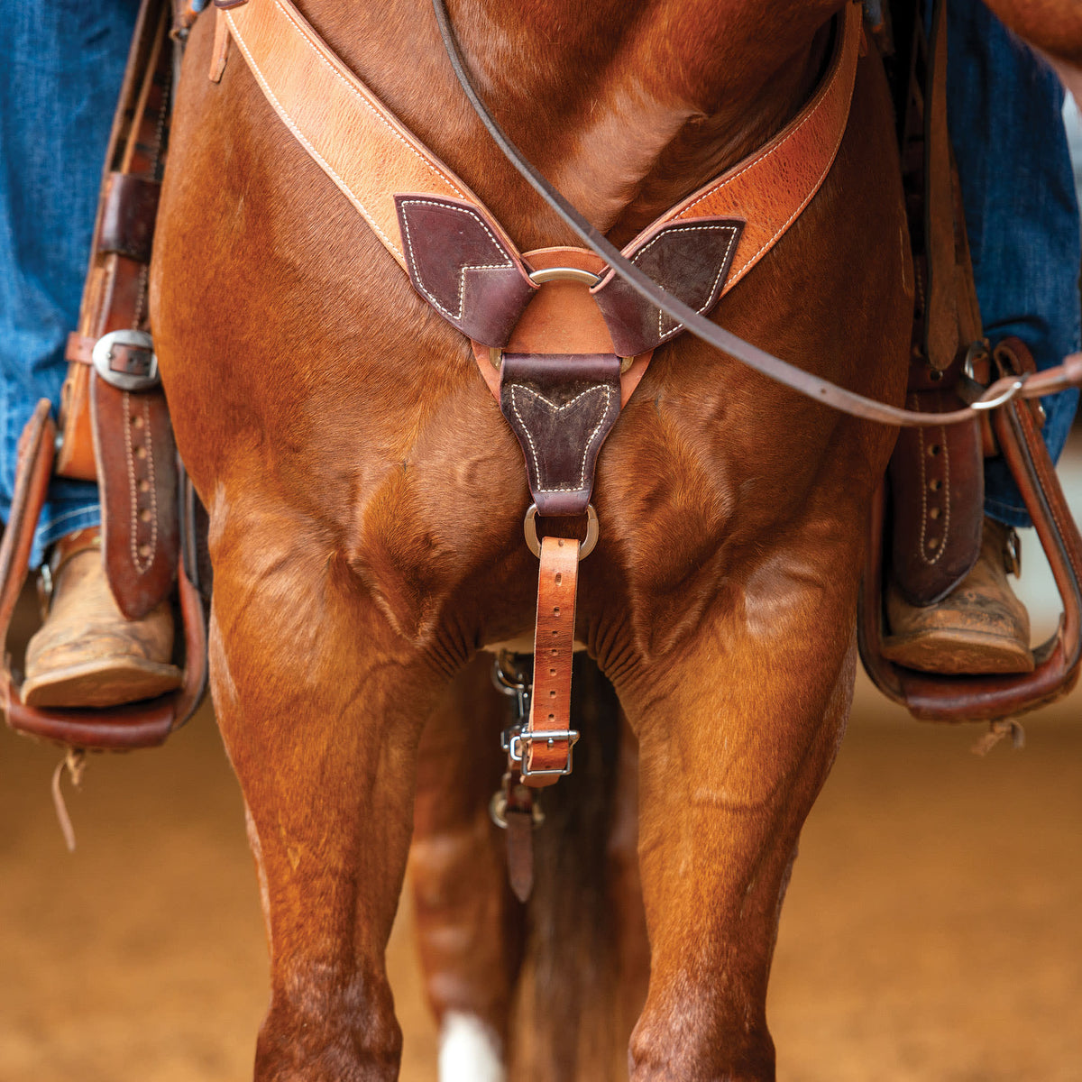 Premium Leather Harness Roper Breast Collar – Center Dee & Tapered Western Design
