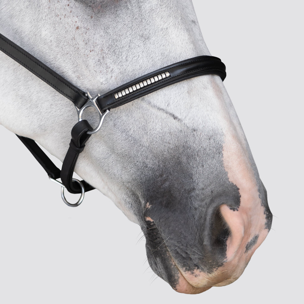 Premium Clincher Leather Horse Halter – Anatomical Padded Headcollar with Solid Brass Hardware