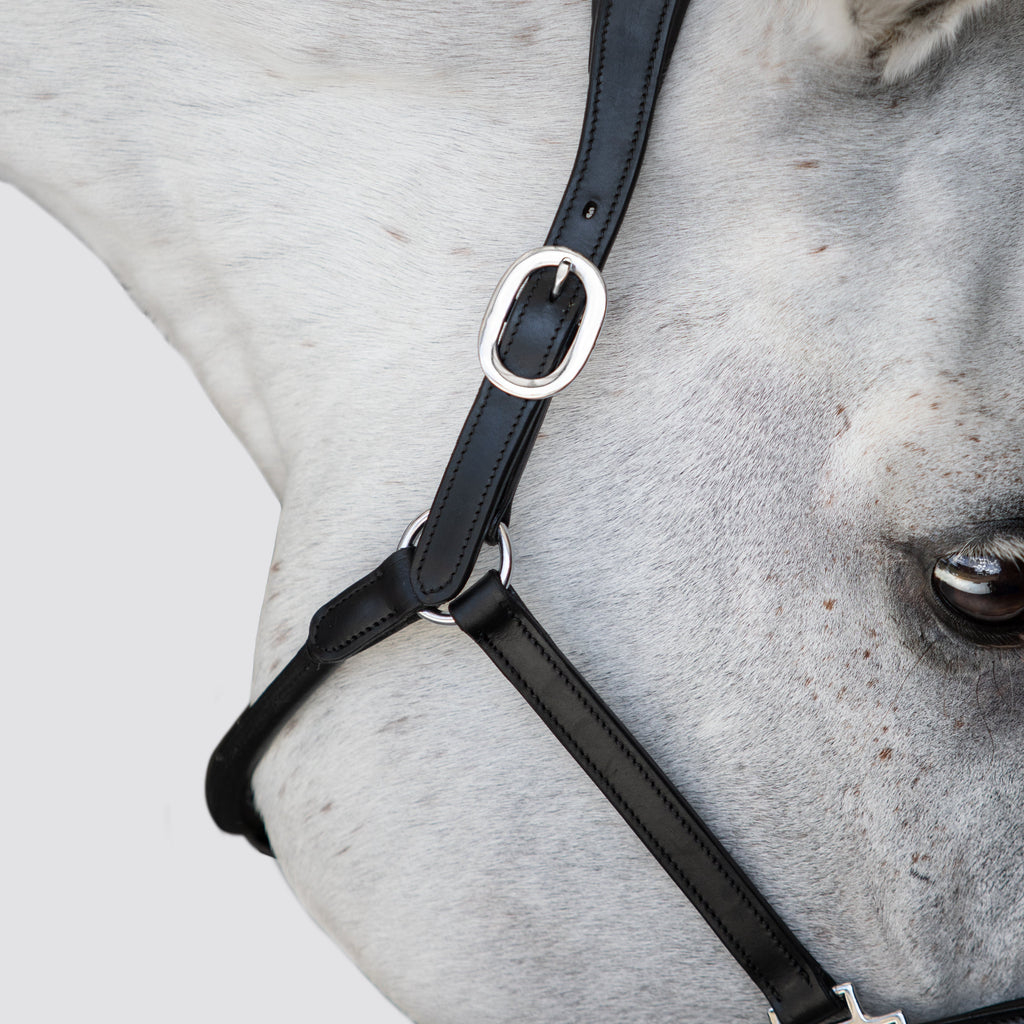 Premium Clincher Leather Horse Halter – Anatomical Padded Headcollar with Solid Brass Hardware