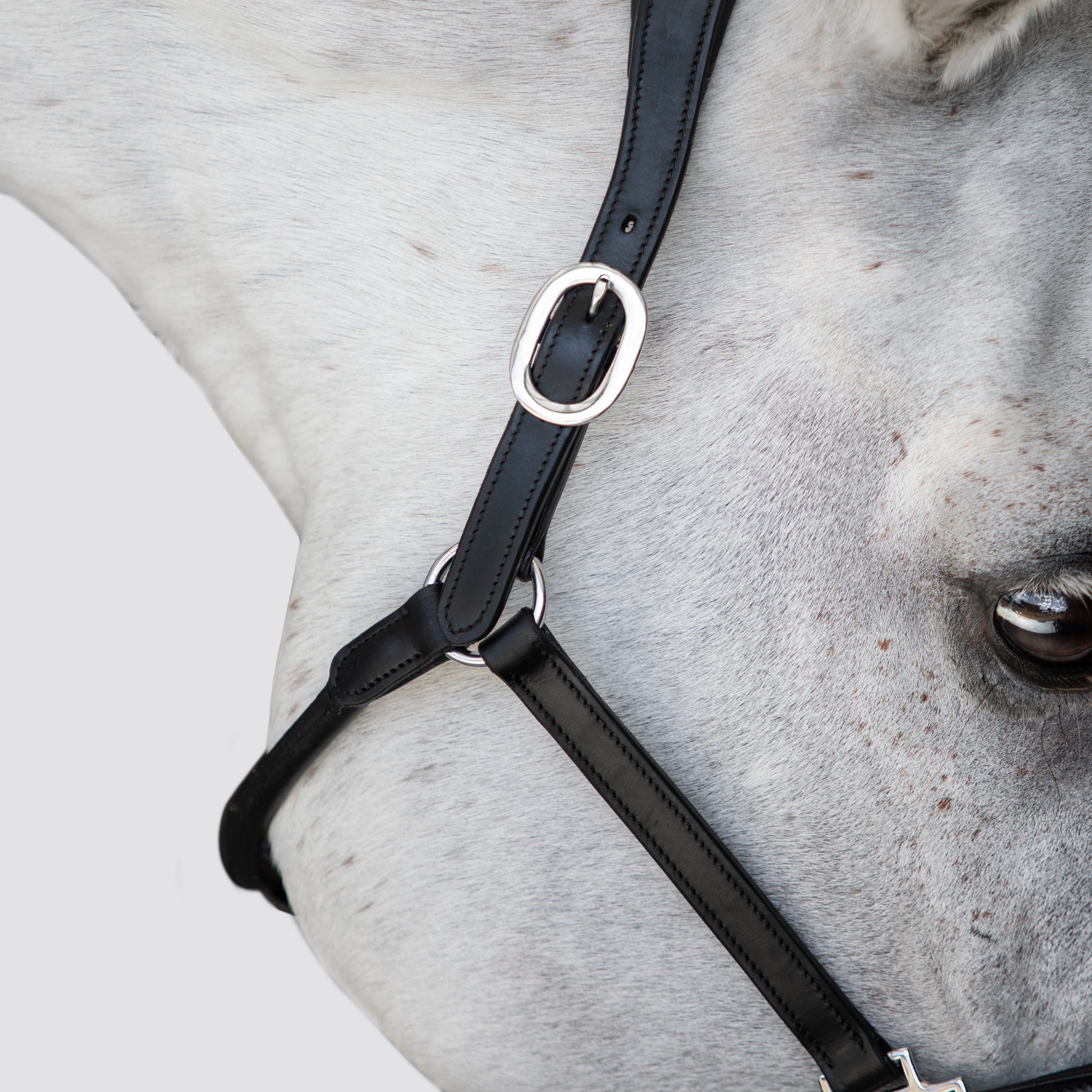 Premium Clincher Leather Horse Halter – Anatomical Padded Headcollar with Solid Brass Hardware