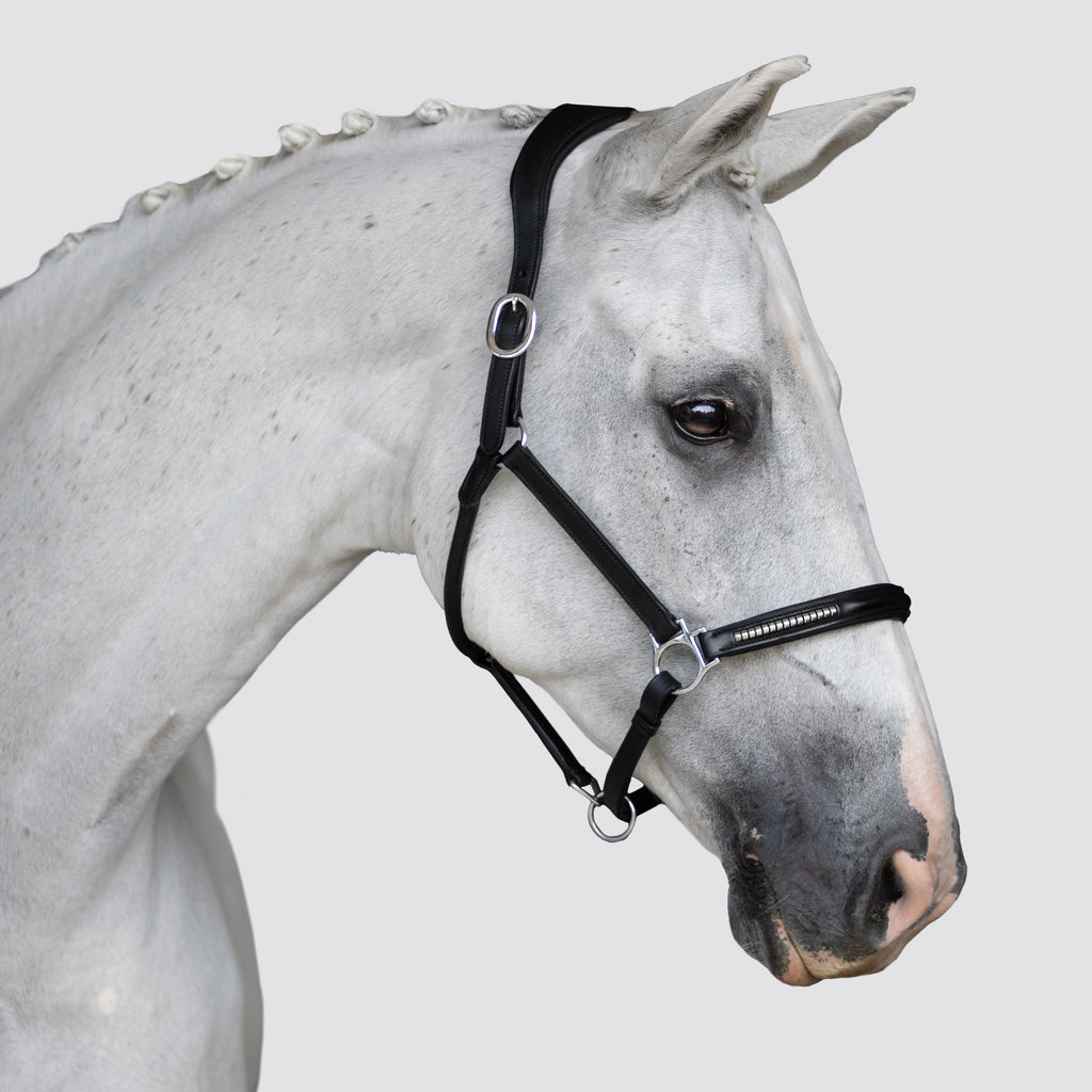 Premium Clincher Leather Horse Halter – Anatomical Padded Headcollar with Solid Brass Hardware