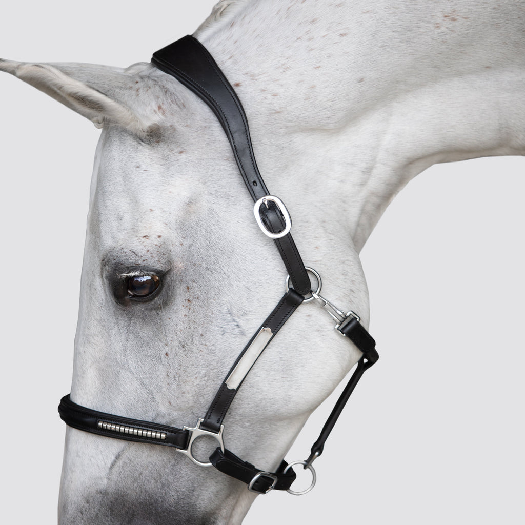 Premium Clincher Leather Horse Halter – Anatomical Padded Headcollar with Solid Brass Hardware
