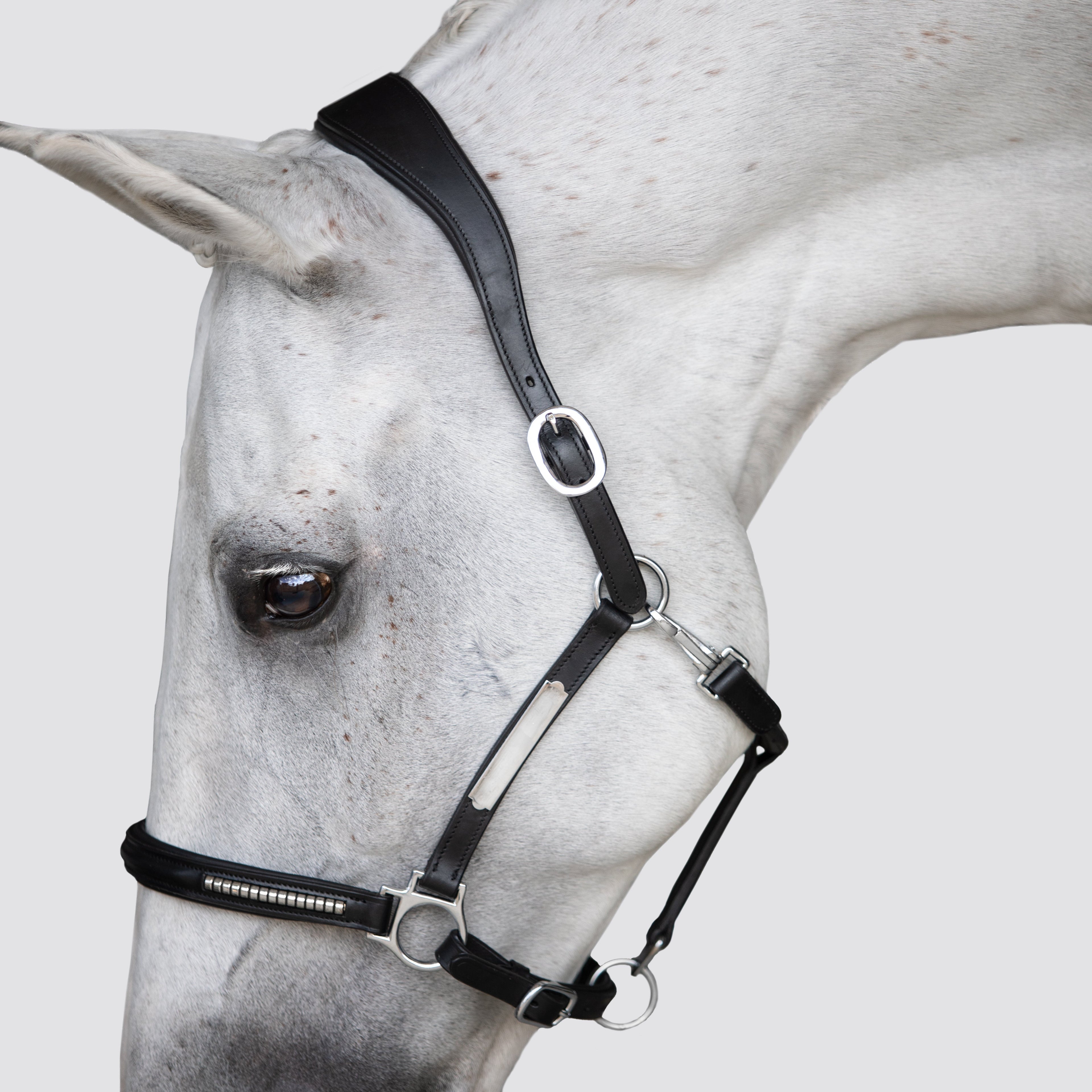 Premium Clincher Leather Horse Halter – Anatomical Padded Headcollar with Solid Brass Hardware