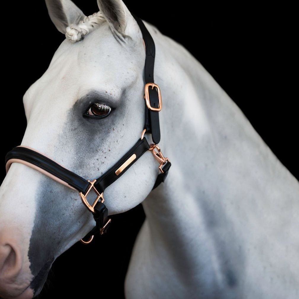 Luxury Rose Gold Leather Horse Halter – Anatomical Padded Headcollar with Premium Hardware & Nameplate