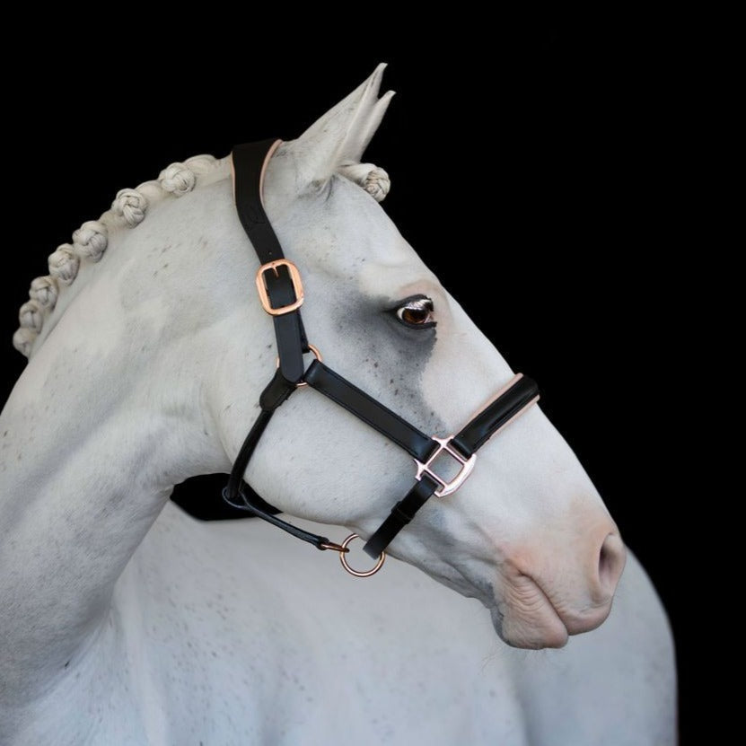 Luxury Rose Gold Leather Horse Halter – Anatomical Padded Headcollar with Premium Hardware & Nameplate