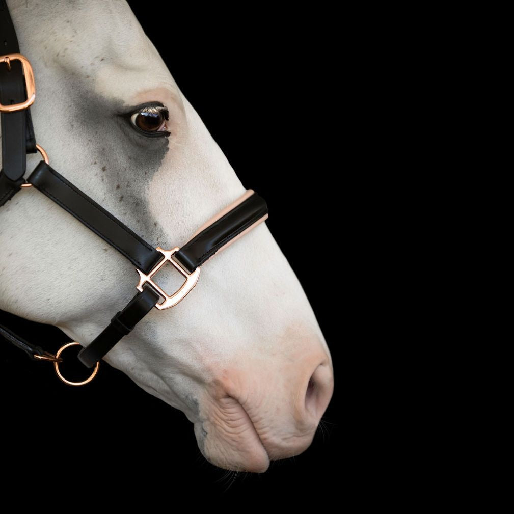 Luxury Rose Gold Leather Horse Halter – Anatomical Padded Headcollar with Premium Hardware & Nameplate