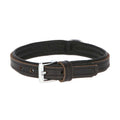 Premium Padded Genuine Leather Dog Collar – Soft Lined Leather Collar with Chrome Hardware