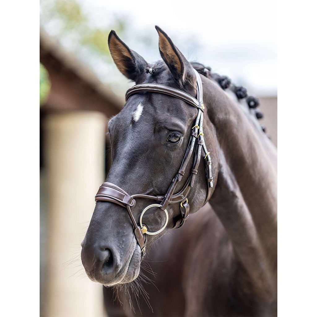 AeroFit Arc Comfort Bridle – Anatomical Buffalo Leather English Bridle with Ergonomic Curved Noseband