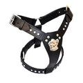 Leather Dog Harness Bull Dog design