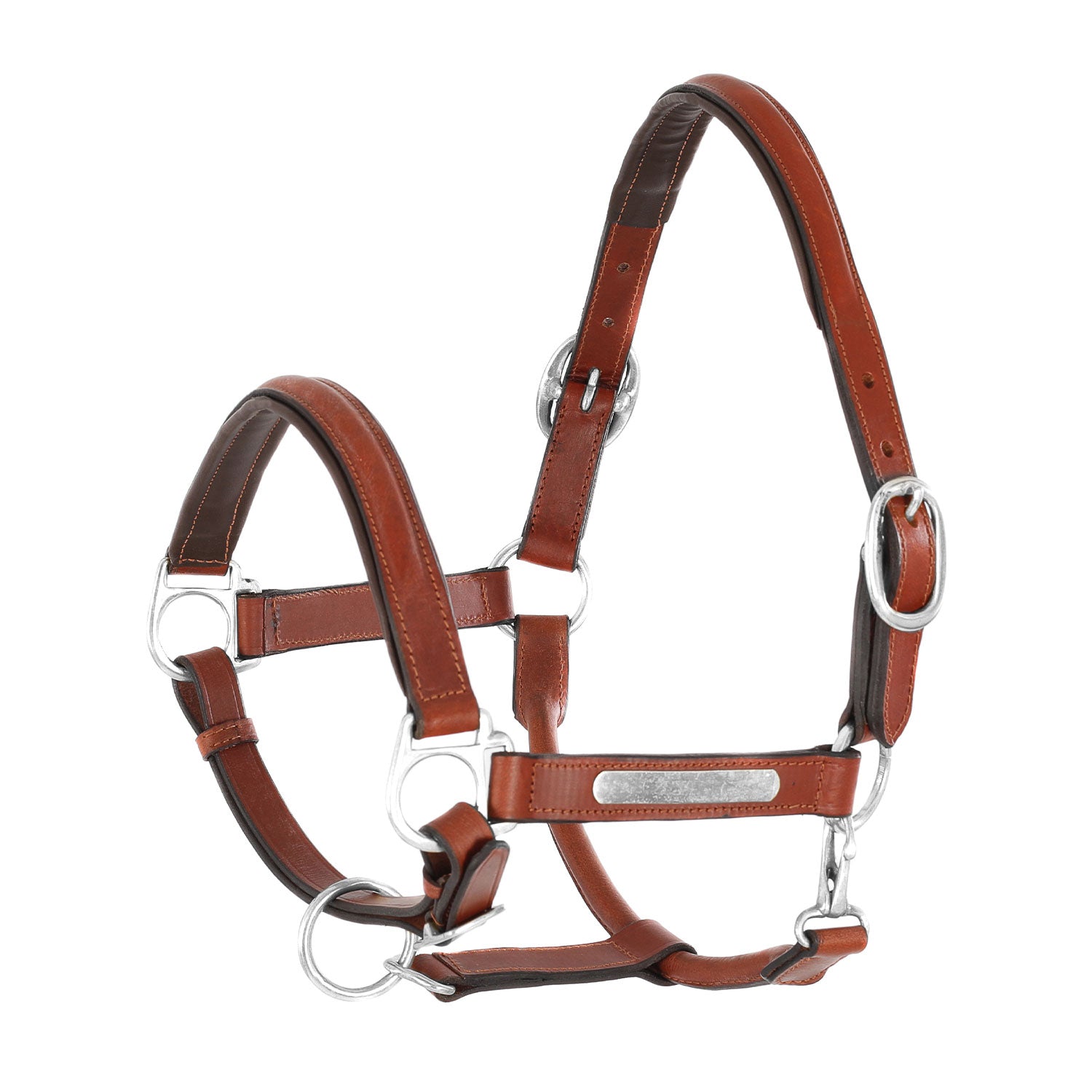 Premium Personalized Leather Horse Halter with Engravable Brass Nameplate – Padded Adjustable Headcollar