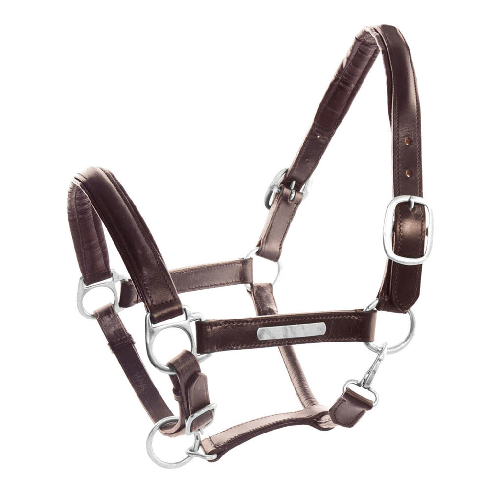 Premium Personalized Leather Horse Halter with Engravable Brass Nameplate – Padded Adjustable Headcollar