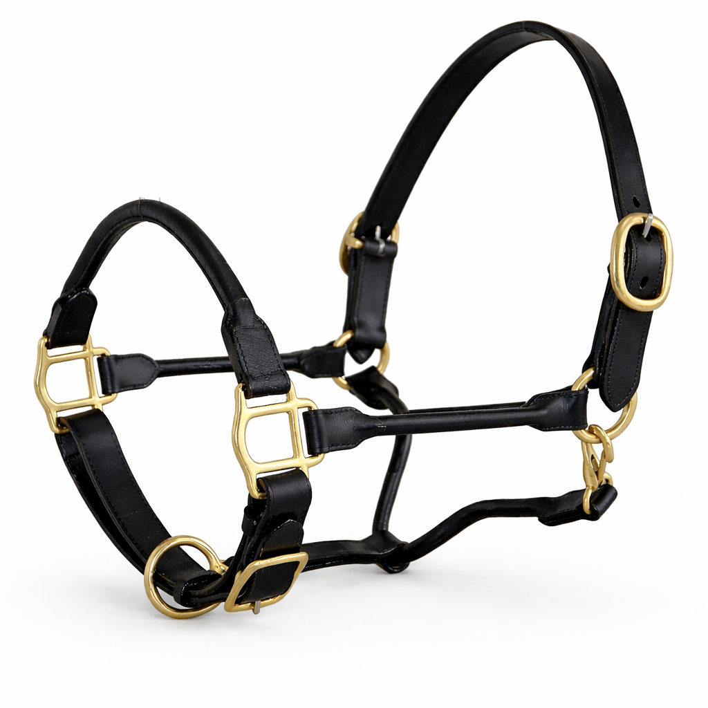 Premium Rolled Leather Horse Halter with Solid Brass Hardware – Adjustable English Leather Headcollar