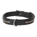 Premium Clincher Genuine Leather Dog Collar – Padded Genuine Leather Collar with Stainless Steel Hardware