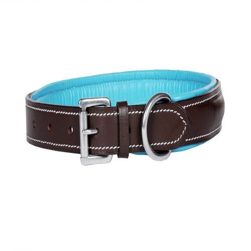 Decorative Stitched Genuine Leather Dog Collar with Soft Padding