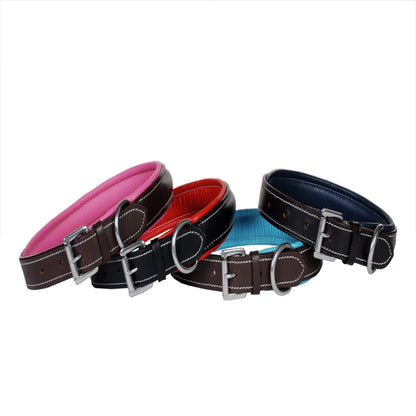 Decorative Stitched Genuine Leather Dog Collar with Soft Padding