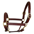 Premium Genuine Leather Fancy Raised Stitch Horse Halter – Padded Adjustable Headcollar with Solid Brass Hardware