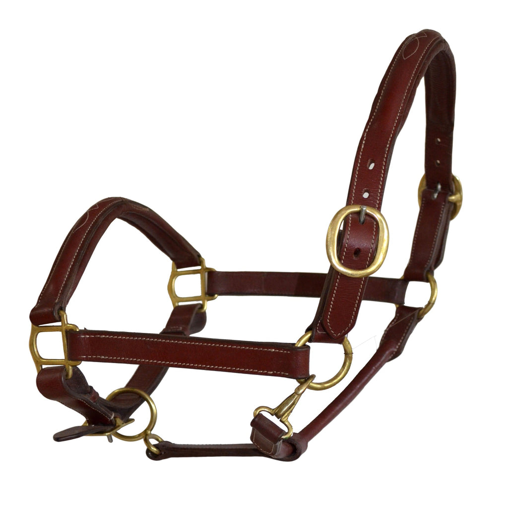 Premium Genuine Leather Fancy Raised Stitch Horse Halter – Padded Adjustable Headcollar with Solid Brass Hardware