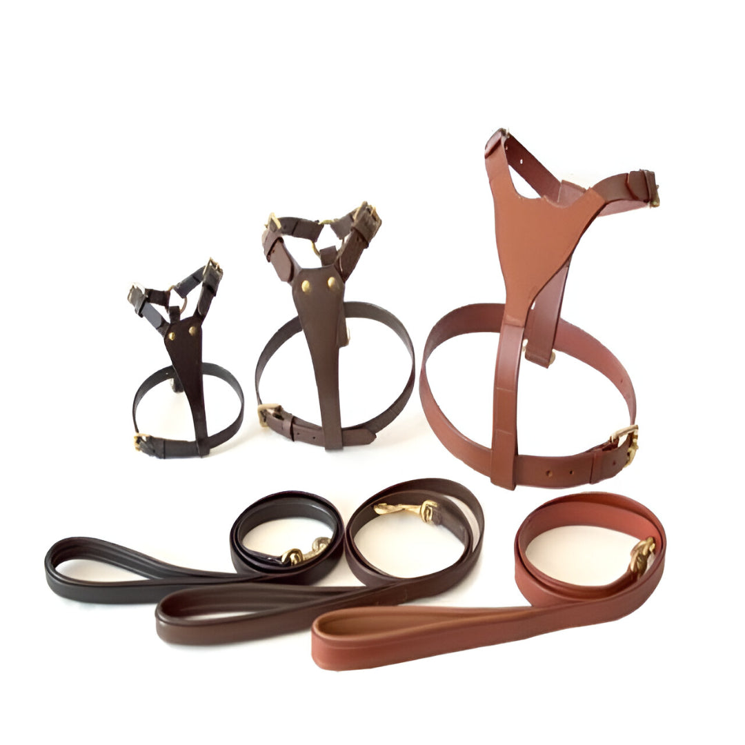 Handcrafted Genuine Leather Dog Harness & Matching Lead Set