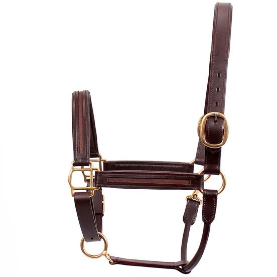 Premium Genuine Leather Empty Channel Horse Halter – Padded Adjustable Headcollar with Solid Brass Hardware