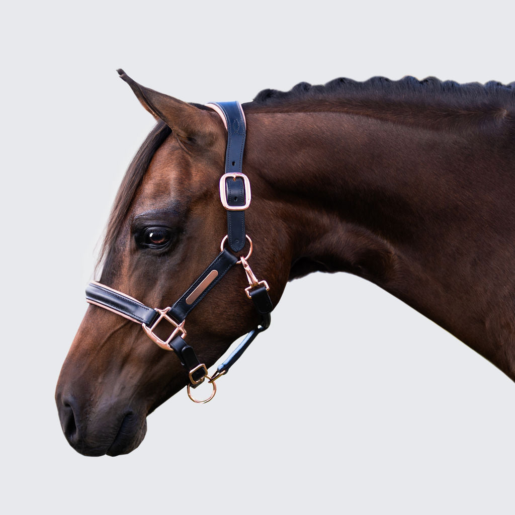 Luxury Rose Gold Leather Horse Halter – Anatomical Padded Headcollar with Premium Hardware & Nameplate